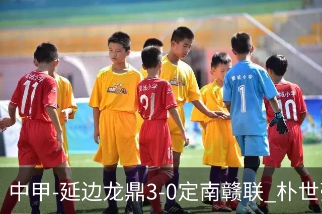 中甲-延边龙鼎3-0定南赣联 朴世豪、福布斯破门乔瓦尼造点+点射