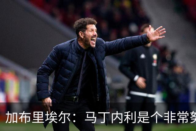 加布里埃尔：马丁内利是个非常努力的年轻人，他有能力决定比赛