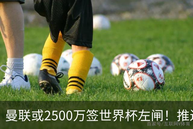 曼联或2500万签世界杯左闸！推迟引进时间，卡里克将先考察两小妖